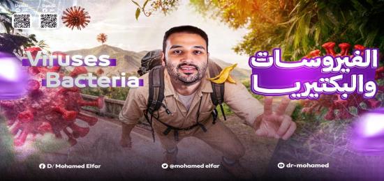 chapter 6 Viruses, Bacteria, and Archaea