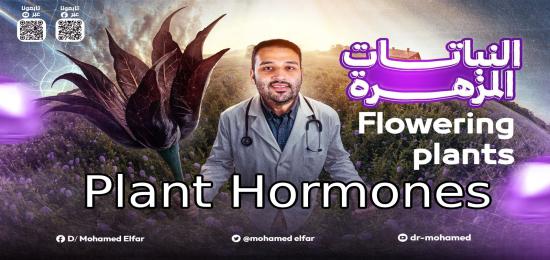 Chapter 8 Flowering Plants: Control of Growth Responses